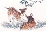 五年级状物作文：柳树